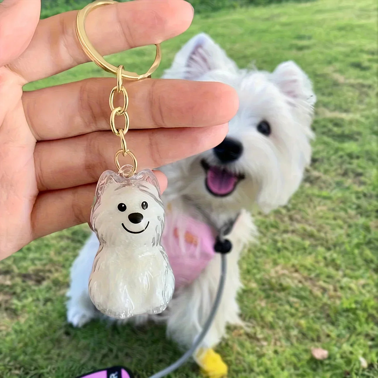 Transparent Pet Fur Memorial Capsule Keychain