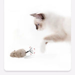 Lifelike Interactive Plush Moving Mouse Toy for Cats
