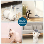 Interactive Door Hanging Cat Toy & Stress Reliever