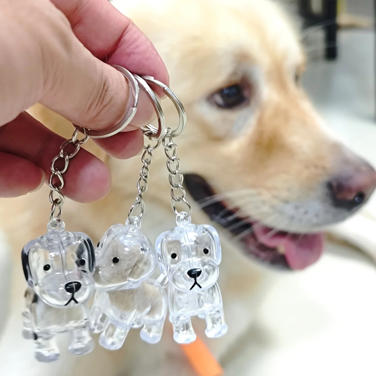 Transparent Pet Fur Memorial Capsule Keychain