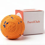 ETPU Bite-Resistant Interactive Dog Training Ball