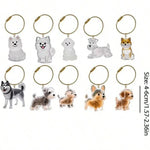 Transparent Pet Fur Memorial Capsule Keychain