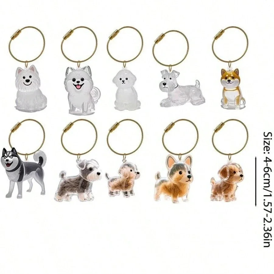 Transparent Pet Fur Memorial Capsule Keychain