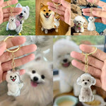 Transparent Pet Fur Memorial Capsule Keychain