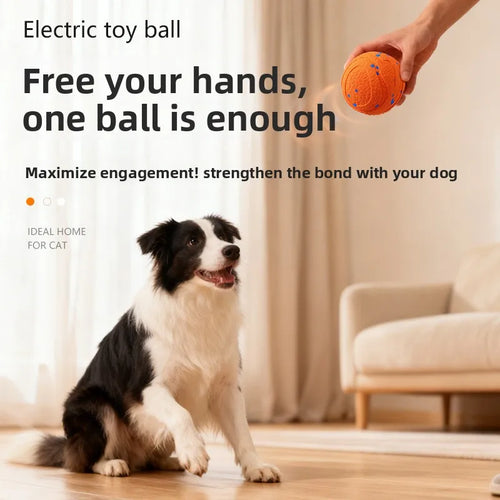 ETPU Bite-Resistant Interactive Dog Training Ball