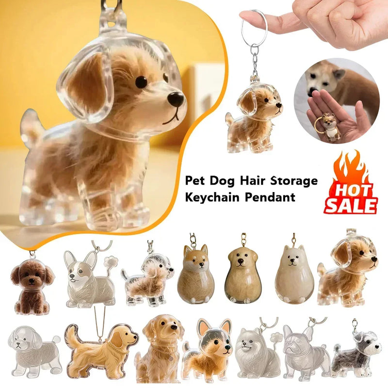 Transparent Pet Fur Memorial Capsule Keychain
