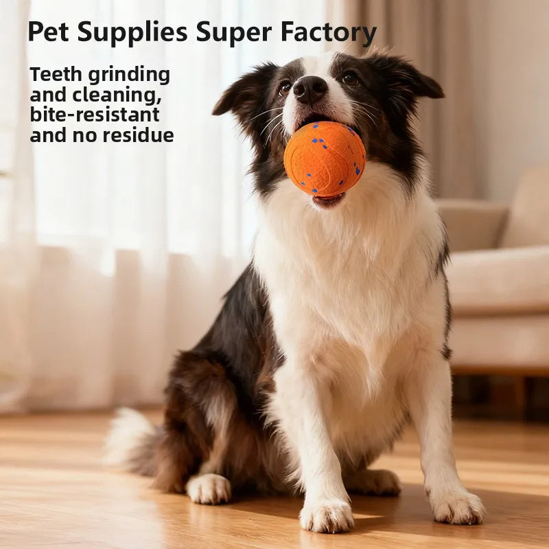 ETPU Bite-Resistant Interactive Dog Training Ball